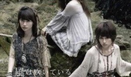 《风》在线观看,穿越时空的旋律之旅